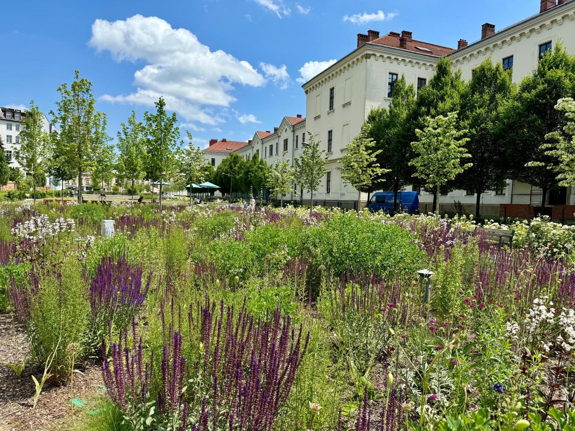 Gio Apartments, Luxury, Old Town Cracow クラクフ エクステリア 写真